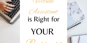 Why a Virtual Services Assistant is Right for Your Business